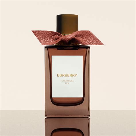 burberry amber heath perfume|amber heath burberry signatures.